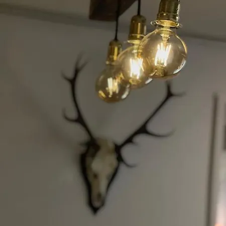 Luna Ruppach-Goldhausen