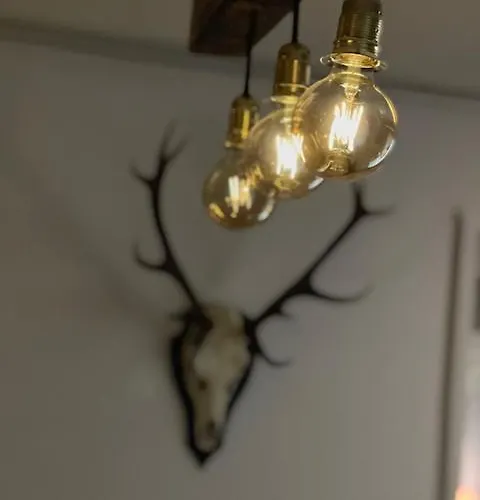 Luna Ruppach-Goldhausen